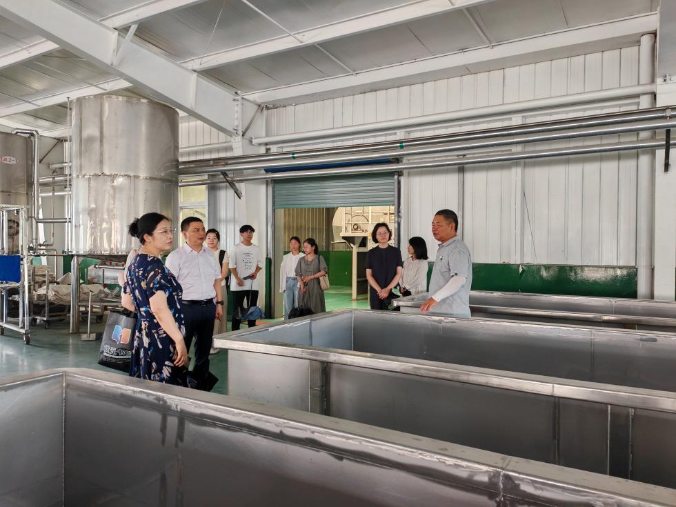 區(qū)政協(xié)組織暑期社會(huì)實(shí)踐大學(xué)生開(kāi)展技術(shù)咨詢與紅色教育活動(dòng)